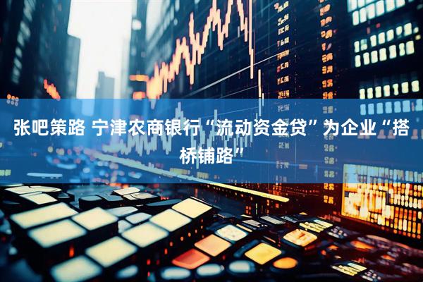 张吧策路 宁津农商银行“流动资金贷”为企业“搭桥铺路”