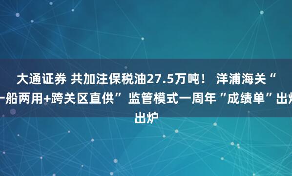 大通证券 共加注保税油27.5万吨！ 洋浦海关“一船两用+跨关区直供” 监管模式一周年“成绩单”出炉