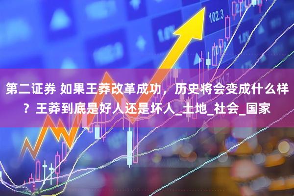 第二证券 如果王莽改革成功，历史将会变成什么样？王莽到底是好人还是坏人_土地_社会_国家