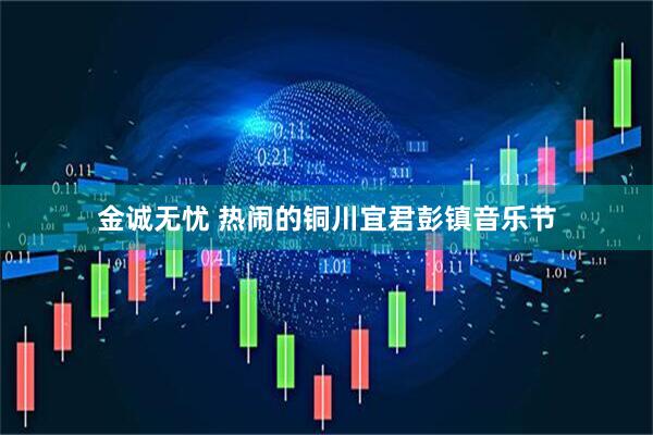 金诚无忧 热闹的铜川宜君彭镇音乐节