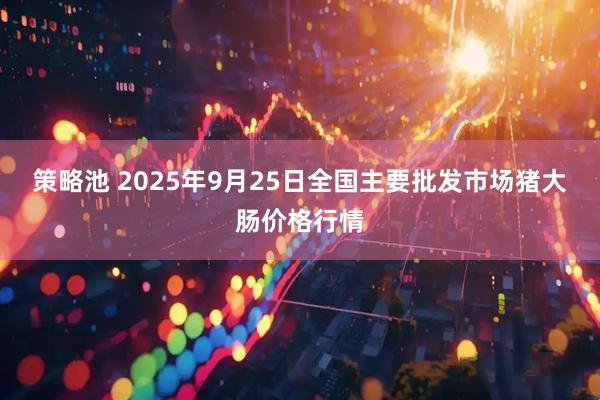 策略池 2025年9月25日全国主要批发市场猪大肠价格行情
