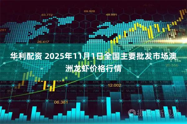 华利配资 2025年11月1日全国主要批发市场澳洲龙虾价格行情